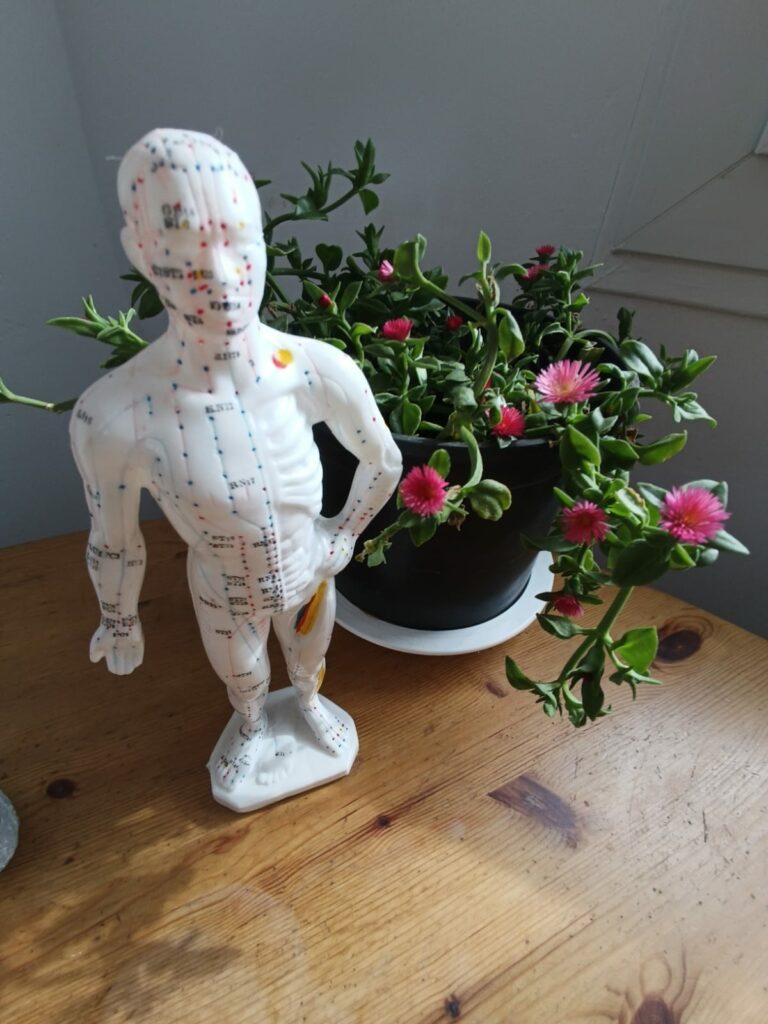 bonhomme meridien (3)