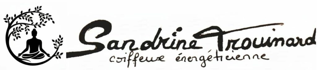 logo site 2025 09 01 à 22.53.30 4621e8d5
