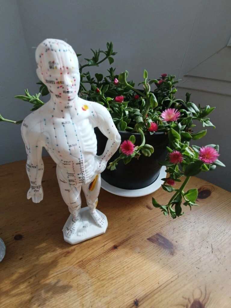 Schéma des méridiens d'acupuncture du cuir chevelu — médecine traditionnelle chinoise